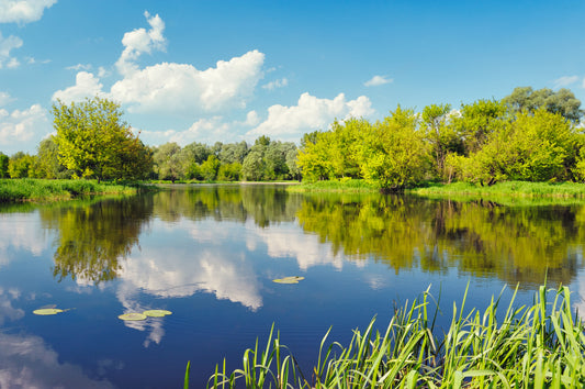 How Does Aeration Help a Pond?