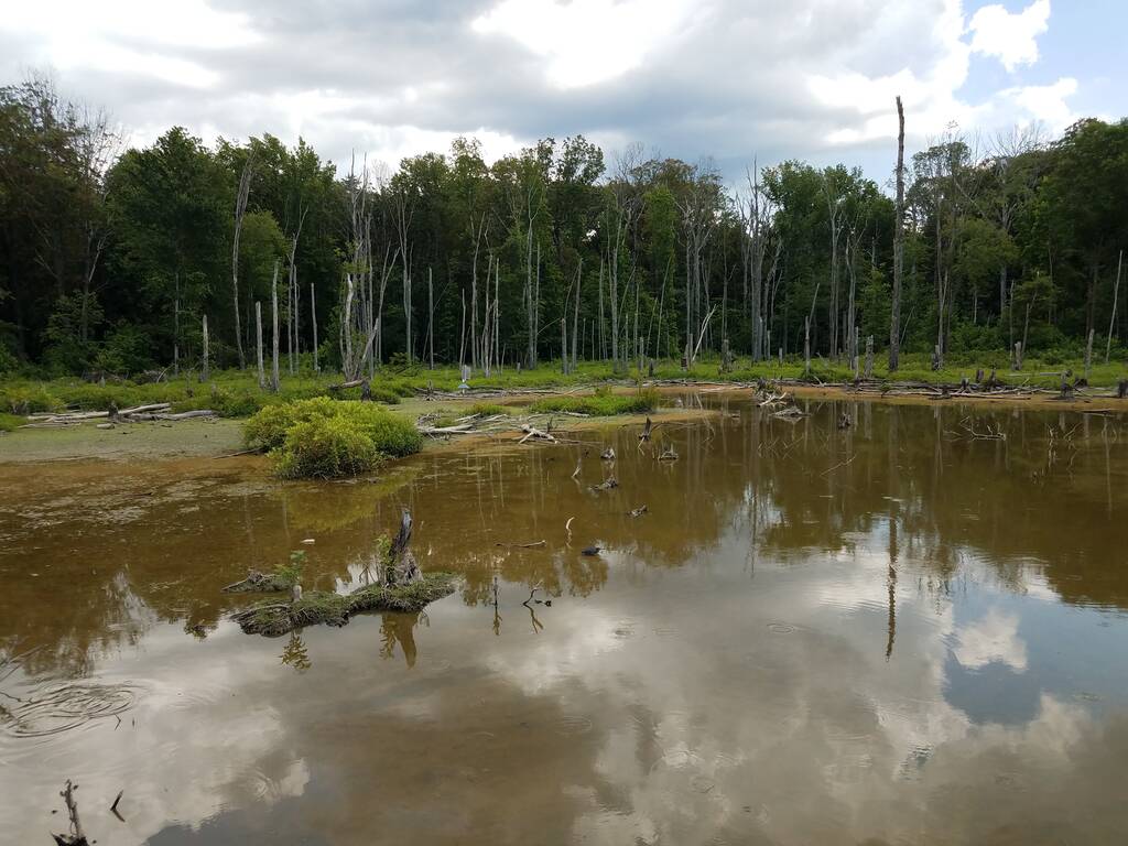 how-to-clear-murky-pond-water-living-water-aeration