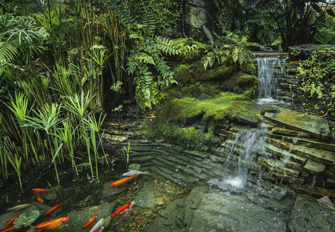 7 Koi Pond Waterfall Ideas You’ll Love