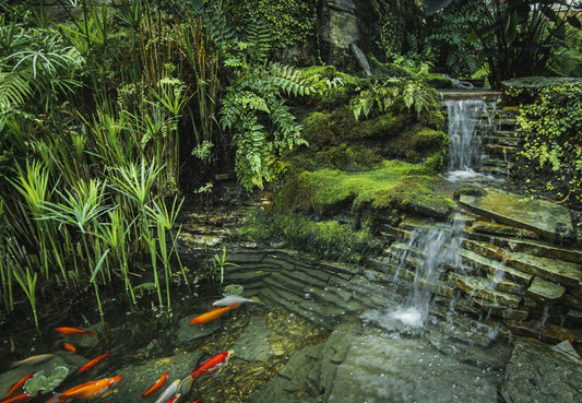 7 Koi Pond Waterfall Ideas You’ll Love