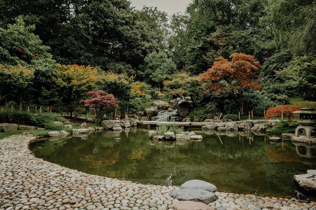 Building a Koi Pond with a Waterfall