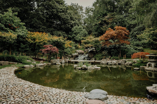 Building a Koi Pond with a Waterfall