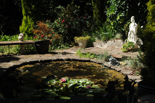 A Guide to Backyard Pond Design Options