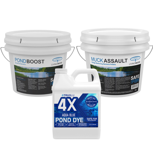 Complete Pond Rejuvenation Kit